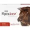 FIPRALONE 134 mg Soluzione orale per cani di media taglia, 4 pz