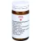 ARNICA/EPIPHYSIS/PLUMBUM globuli di comp.B, 20 g