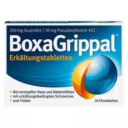 BOXAGRIPPAL Compresse fredde 200 mg/30 mg FTA, 20 pz