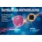 THOMAPYRIN TENSION DUO 400 mg/100 mg compresse rivestite con film, 12 pz