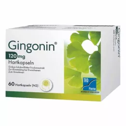 GINGONIN 120 mg capsule rigide, 60 pezzi