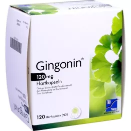 GINGONIN 120 mg capsule rigide, 120 pezzi