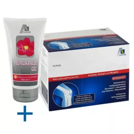 GELENKNAHRUNG+Acido ialuronico in granuli, 30X15 g