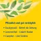 PINIMENTHOL Bagno freddo da 12 anni, 1000 ml