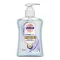 SAGROTAN Sapone liquido per ligiene delle mani dei medici, 250 ml