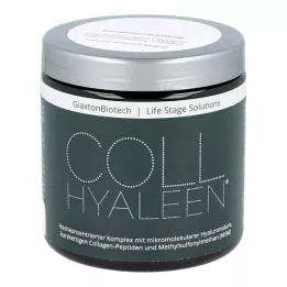 COLLHYALEEN Polvere per soluzione orale, 180 g