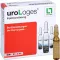 UROLOGES Fiale per soluzione iniettabile, 10X2 ml