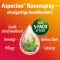 Aspecton® spray nasale, 20 ml