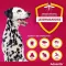 ADVANTIX Soluzione spot-on da applicare sulla pelle per cani 40-60 kg, 4X6,0 ml