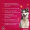 ADVANTIX Soluzione spot-on da applicare sulla pelle per cani 40-60 kg, 4X6,0 ml