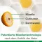 Capsule Curcumin-Loges plus Boswellia, 120 pezzi