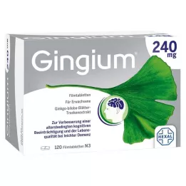GINGIUM 240 mg compresse rivestite con film, 120 pezzi