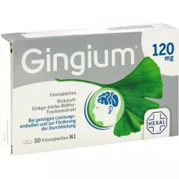 GINGIUM 120 mg compresse rivestite con film, 30 pezzi