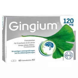 GINGIUM 120 mg compresse rivestite con film, 60 pezzi