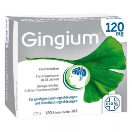 GINGIUM 120 mg compresse rivestite con film, 120 pezzi