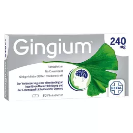 GINGIUM 240 mg compresse rivestite con film, 20 pezzi