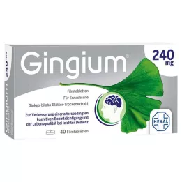 GINGIUM 240 mg compresse rivestite con film, 40 pezzi