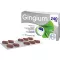 GINGIUM 240 mg compresse rivestite con film, 60 pezzi