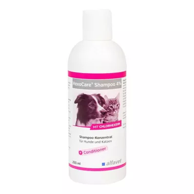 HEXOCARE Shampoo 4% per cani e gatti, 250 ml