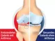 Instructions for use for GELENCIUM® artro gocce, 100 ml - 2