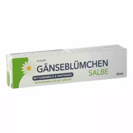 GÄNSEBLÜMCHEN Unguento con amamelide &amp; Pantenolo, 50 ml