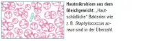 Instructions for use for AKTIVADERM ND Probiotici attivi per il trattamento della neurodermatite cutanea, 125 g - 2