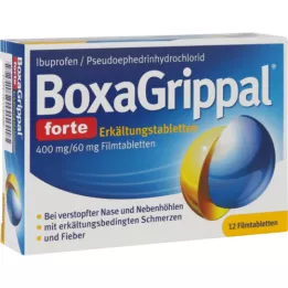 BOXAGRIPPAL forte Cold Tab. 400 mg/60 mg FTA, 12 pz