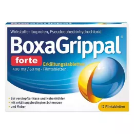 BOXAGRIPPAL forte Cold Tab. 400 mg/60 mg FTA, 12 pz