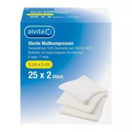ALVITA compresse di garza sterili 5x5 cm, 25X2 pz