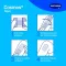 COSMOS strisce di gesso acquoso 3 misure, 20 pz