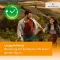 Desloratadina HEUMANN 5 mg compresse rivestite con film, 100 pz
