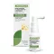 NATURALIS Spray per bocca e gola, 20 ml