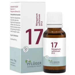 BIOCHEMIE Gesso dellaratore 17 Manganum sulphuricum D 12 Gl., 15 g
