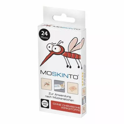 Moskinto Scatola pieghevole da appendere in gesso Euro Hole, 24 pz
