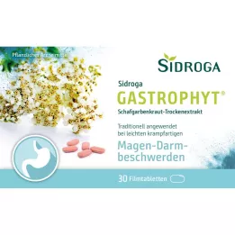 SIDROGA GastroPhyt 250 mg compresse rivestite con film, 30 pz
