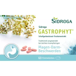 SIDROGA GastroPhyt 250 mg compresse rivestite con film, 60 pz