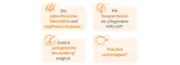 Instructions for use for Shampoo lama KETOconazolo 20 mg/g, 60 ml - 2