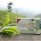 H&amp;S Tè Verde Biologico di Darjeeling sacchetto filtro, 20X2 g