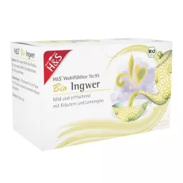 H&S Sacchetto filtro zenzero organico, 20X2 g