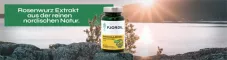 Instructions for use for Fjordil Rhodiola Rosea capsule (90 pezzi) - 1