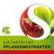Dobensana Herbal Kirschgeschm.vit.c &amp; Pastiglia di zinco.(16 pezzi)