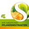 Dobensana Miele alle Erbe Vitamine C &amp; Pastiglia di Zinco.(36 pezzi)