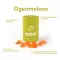 Ipalat Pastilles Flavor Edition Ogenmelon (40 pezzi)