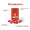 Ipalat Pastilles Flavor Edition Rambutan (40 pezzi)