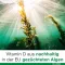 Vitamin D-Loges 7.000 UI deposito settimanale a base vegetale, 60 pezzi