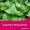 LINGUMELT compresse orodispersibili acute, 12 pz