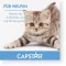 CAPSTAR 11,4 mg compresse per gatti/cani di piccola taglia, 1 pz