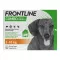 FRONTLINE COMBO contro zecche, pulci nei cani S (2 -10 kg), 3 pz
