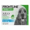 FRONTLINE COMBO contro zecche, pulci nei cani M (10-20 kg), 3 pz