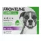 FRONTLINE COMBO contro zecche, pulci nei cani L (20-40 kg), 3 pz